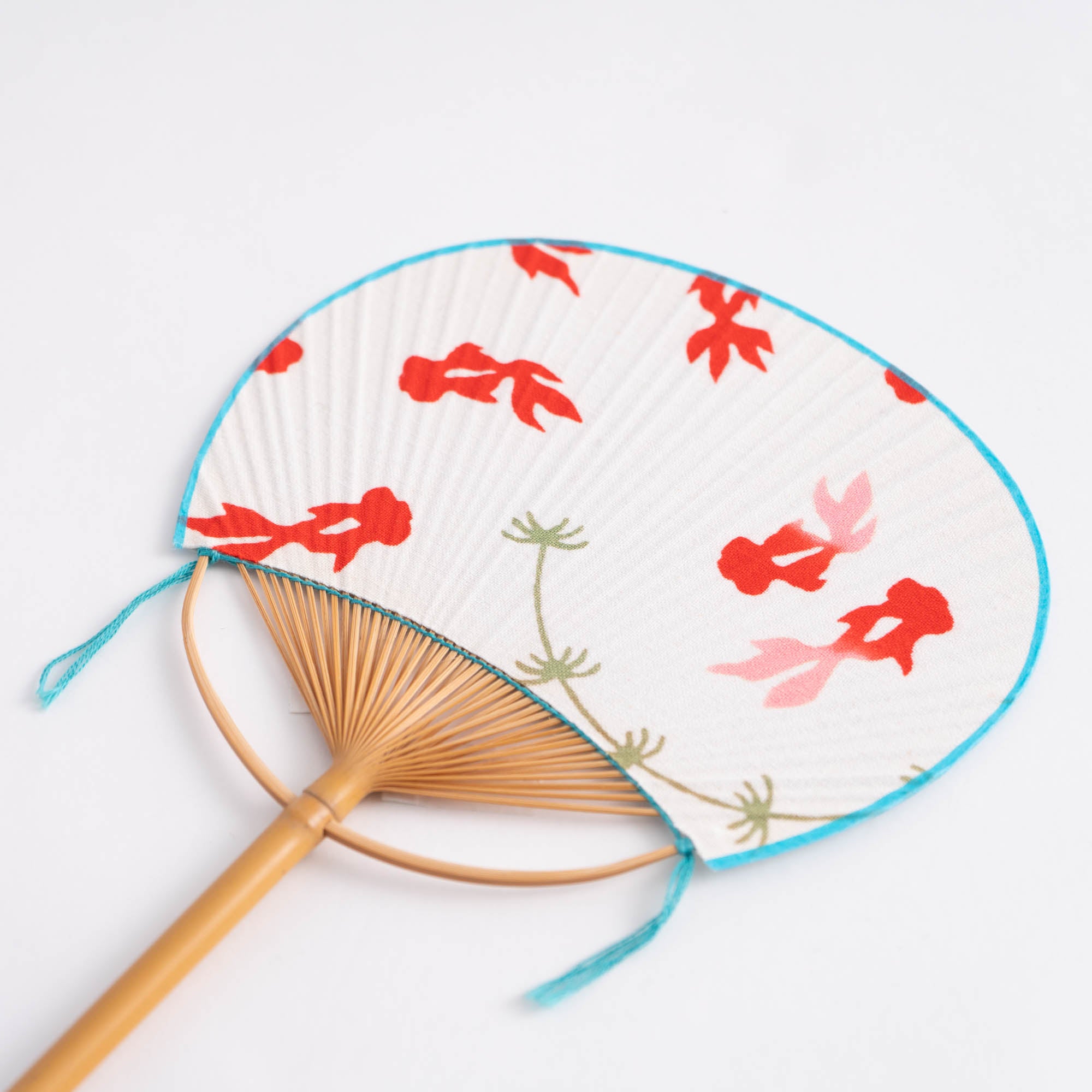 豆団扇 でめきん