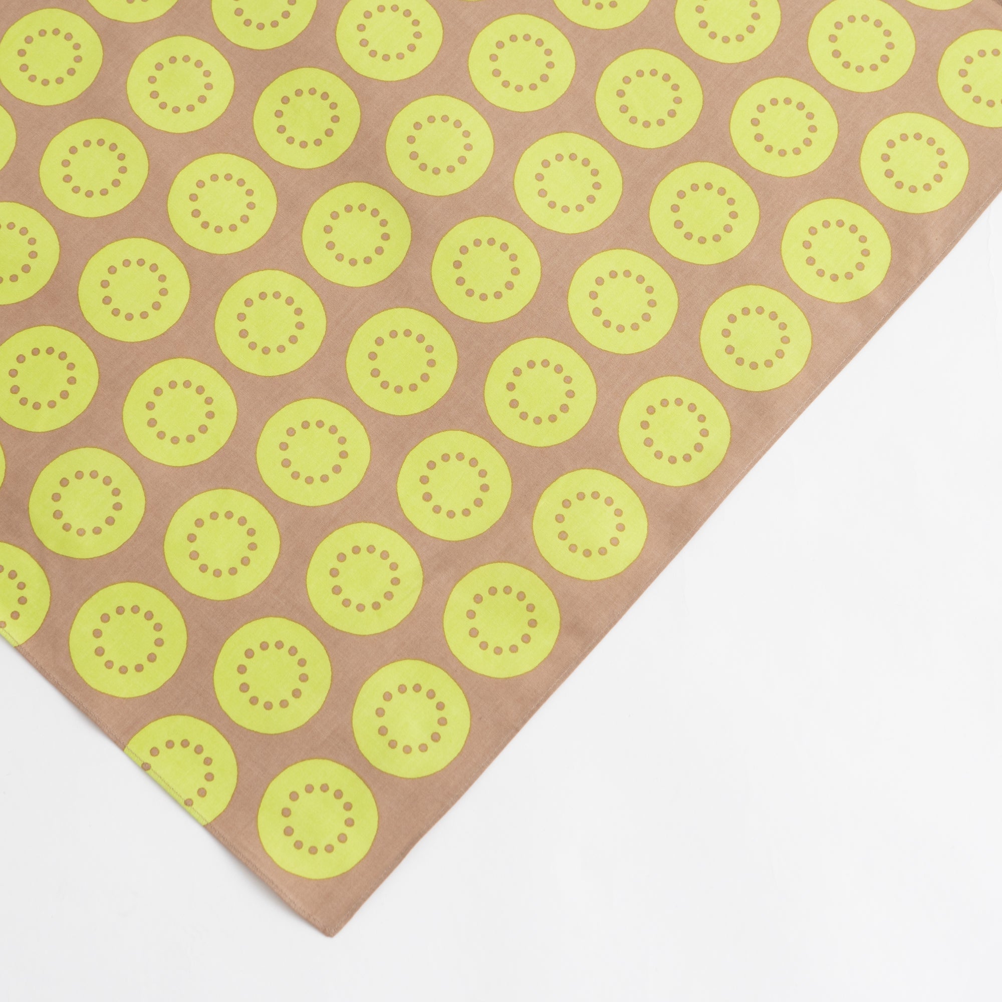 おいしい風呂敷 キウイ