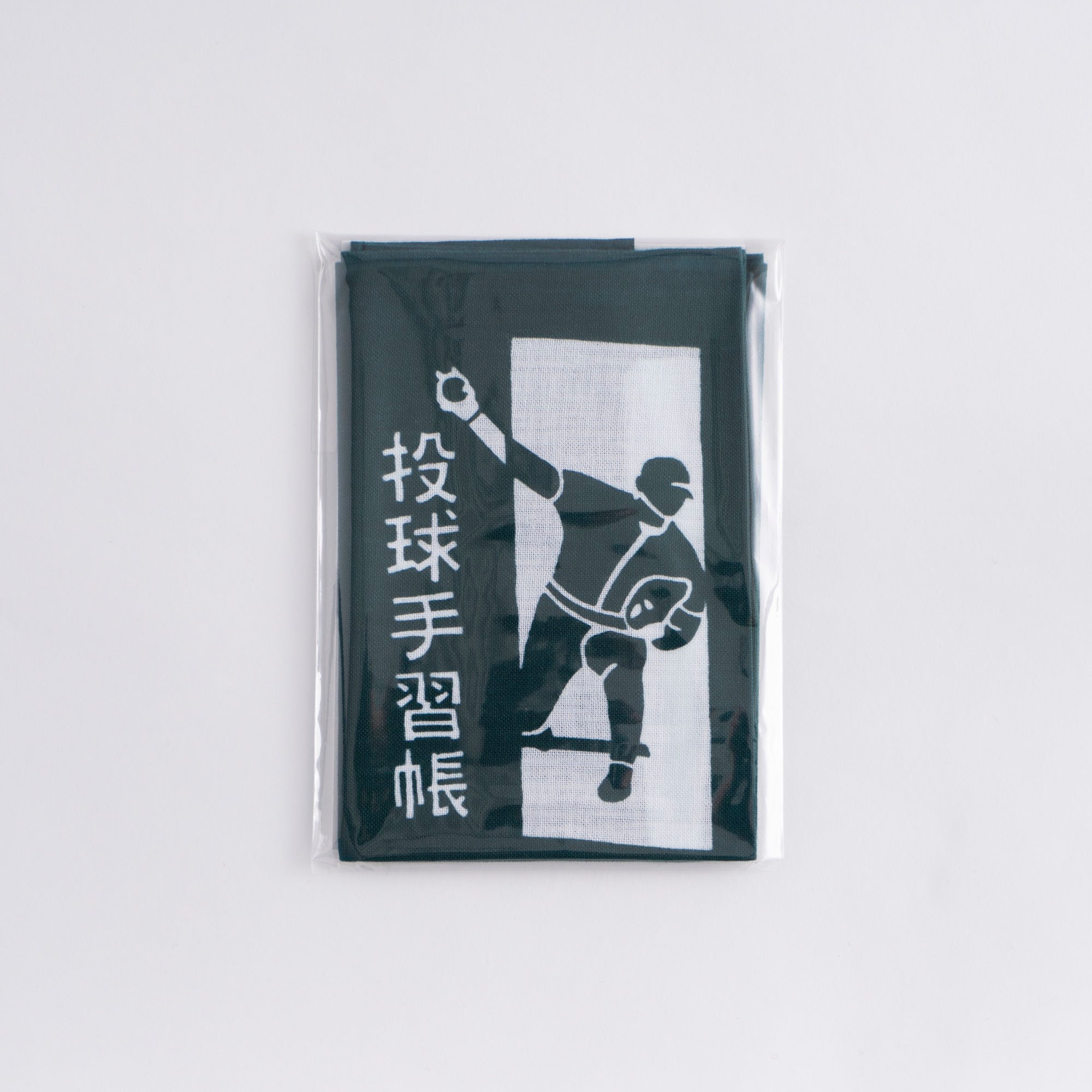 投球手習帳