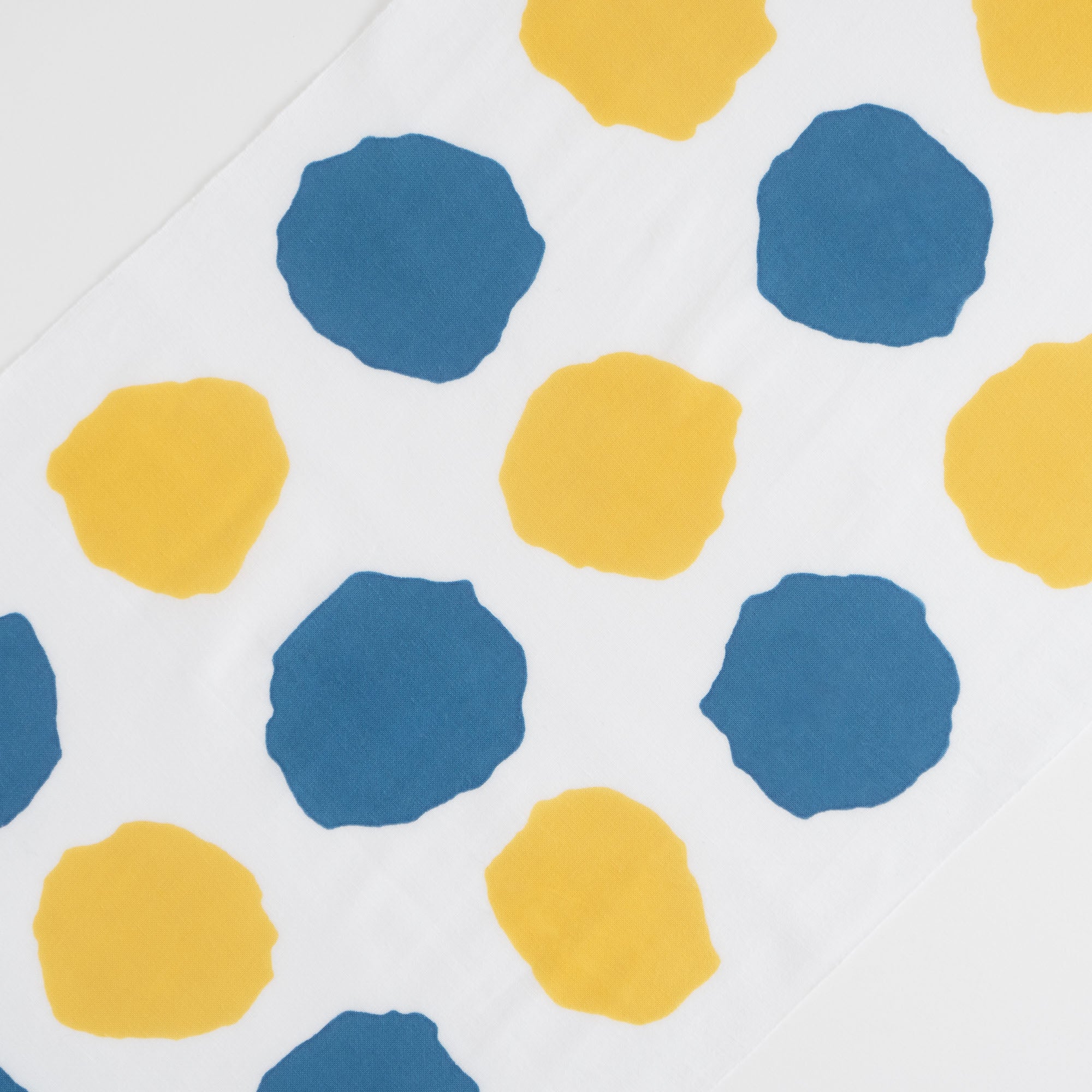 レオ・レオニ あおくんときいろちゃん