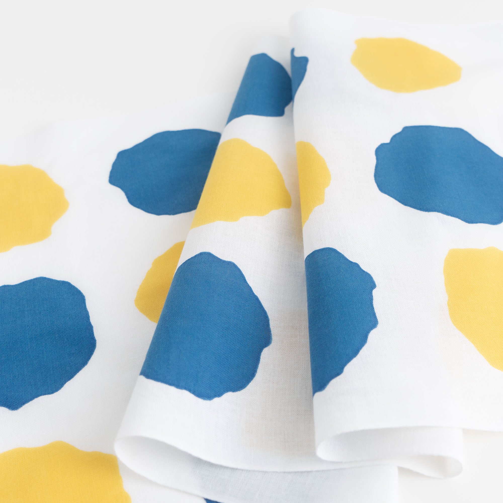 レオ・レオニ あおくんときいろちゃん