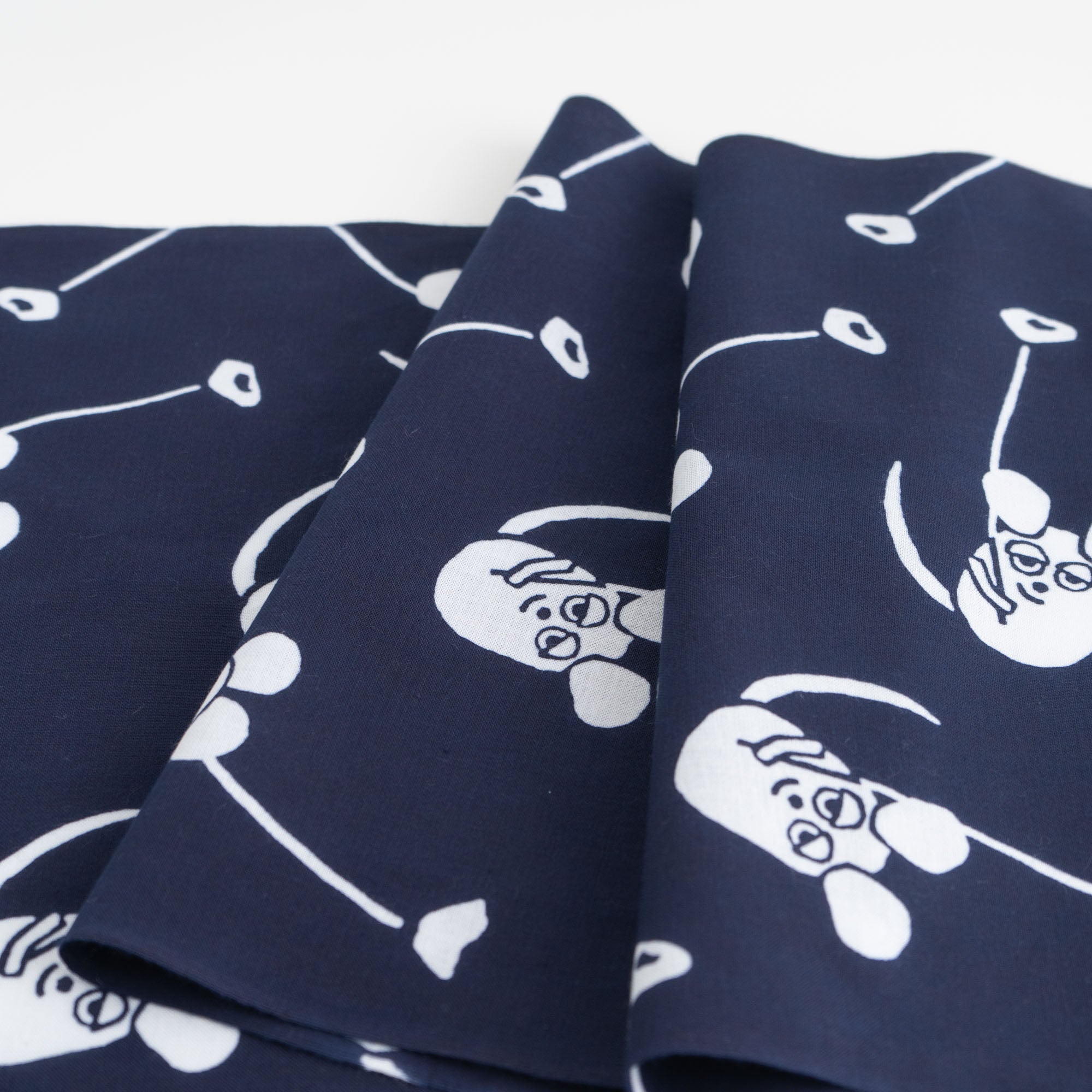 レオ・レオニ フレデリック