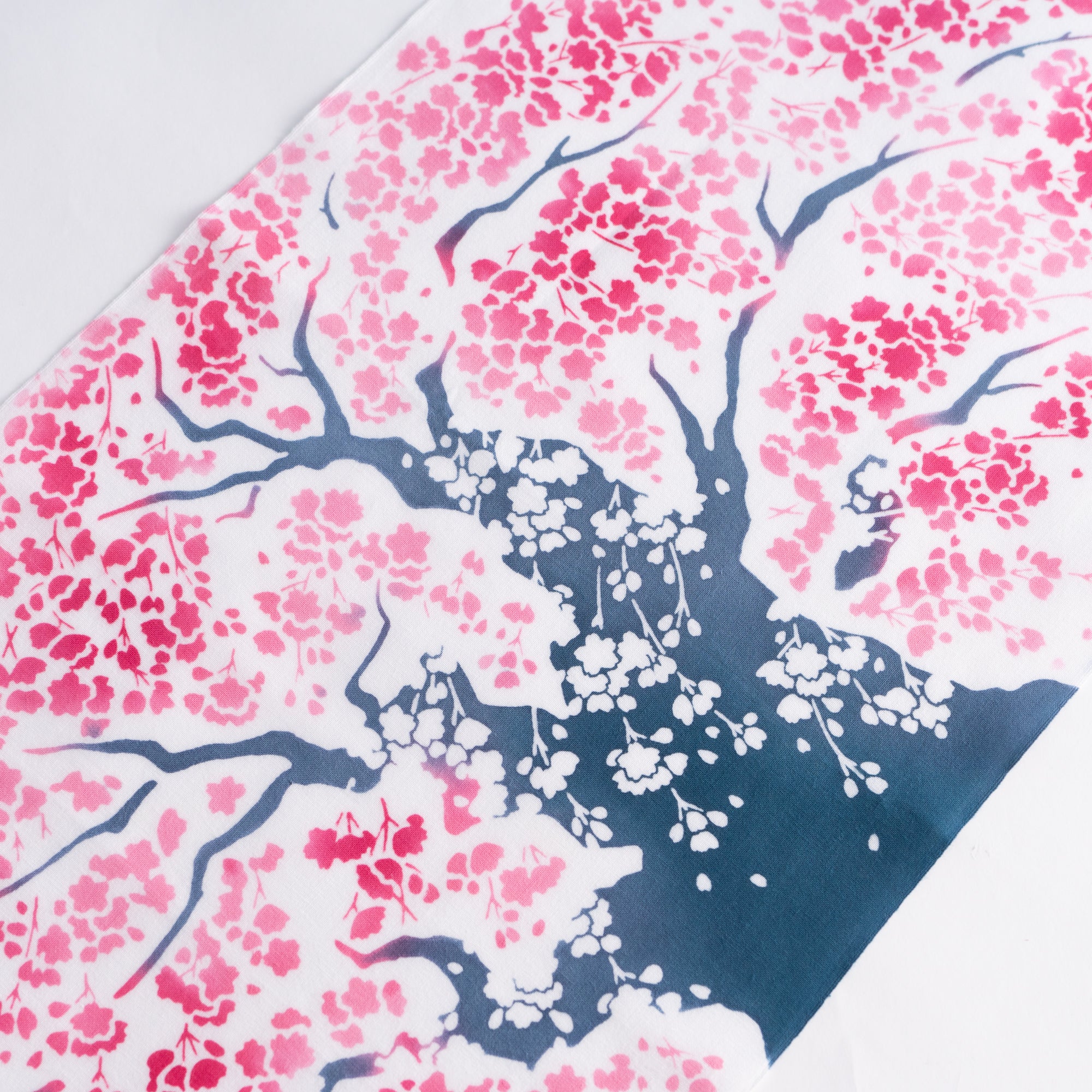 大桜