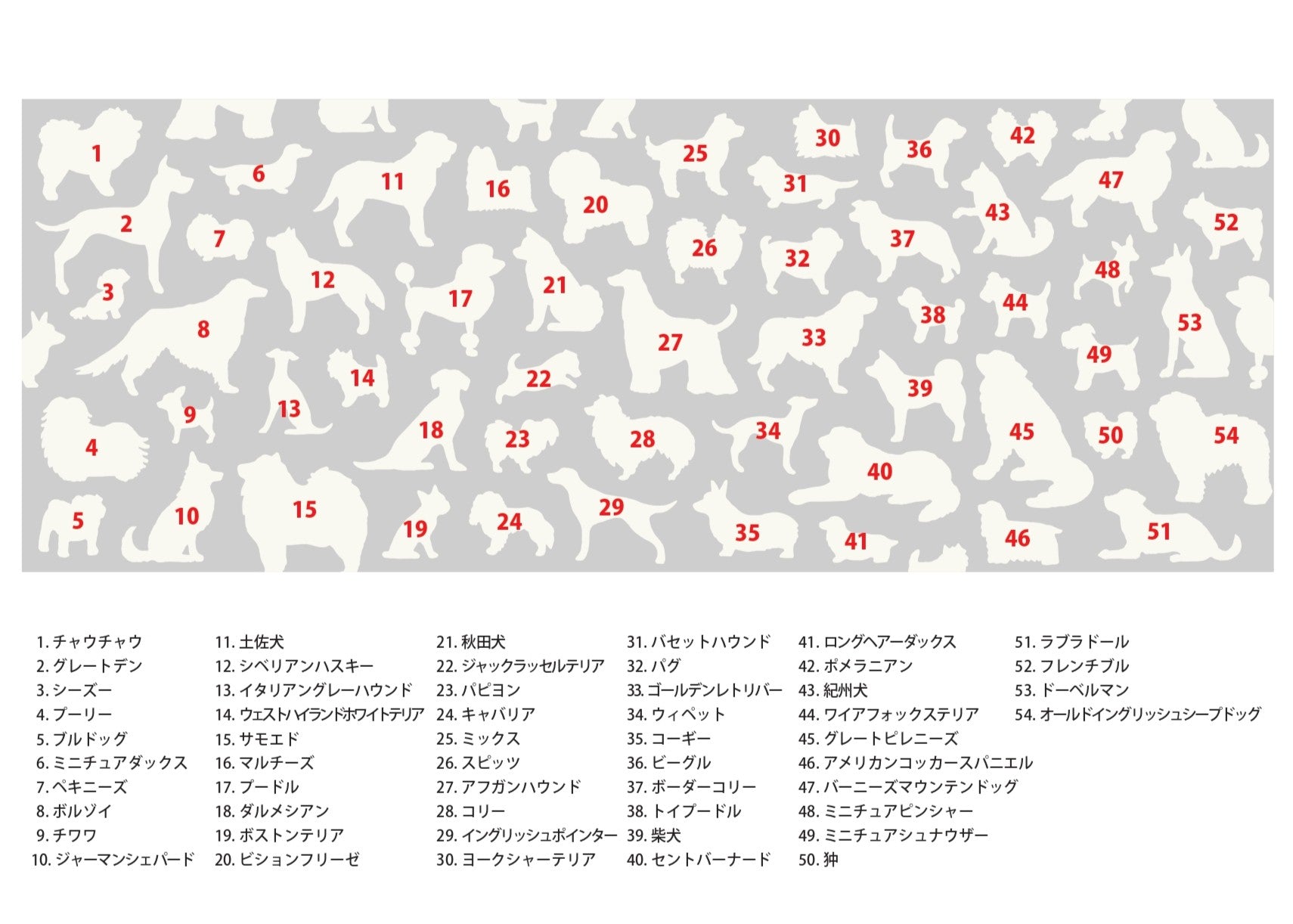 つどい犬