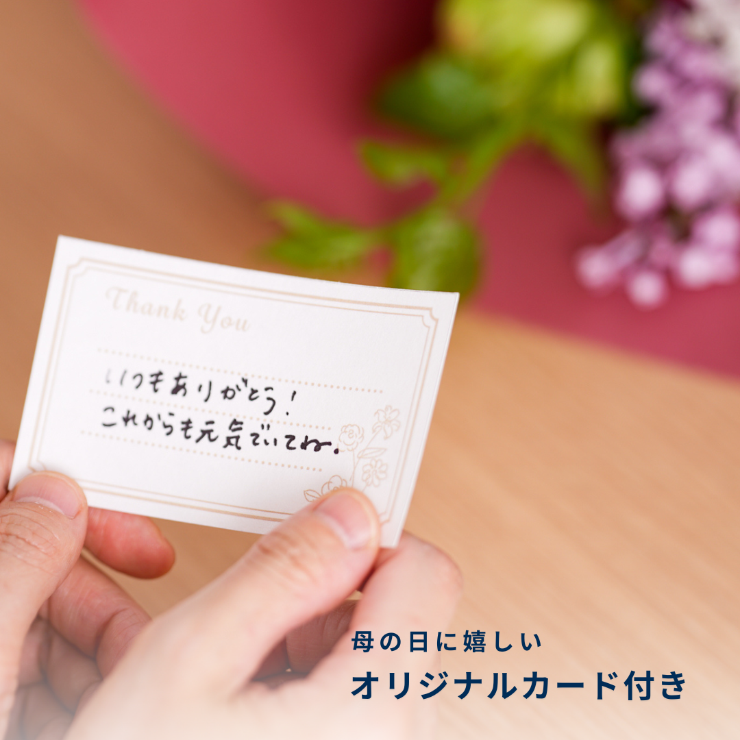 季節限定【同送のみ】ギフト用巾着 M