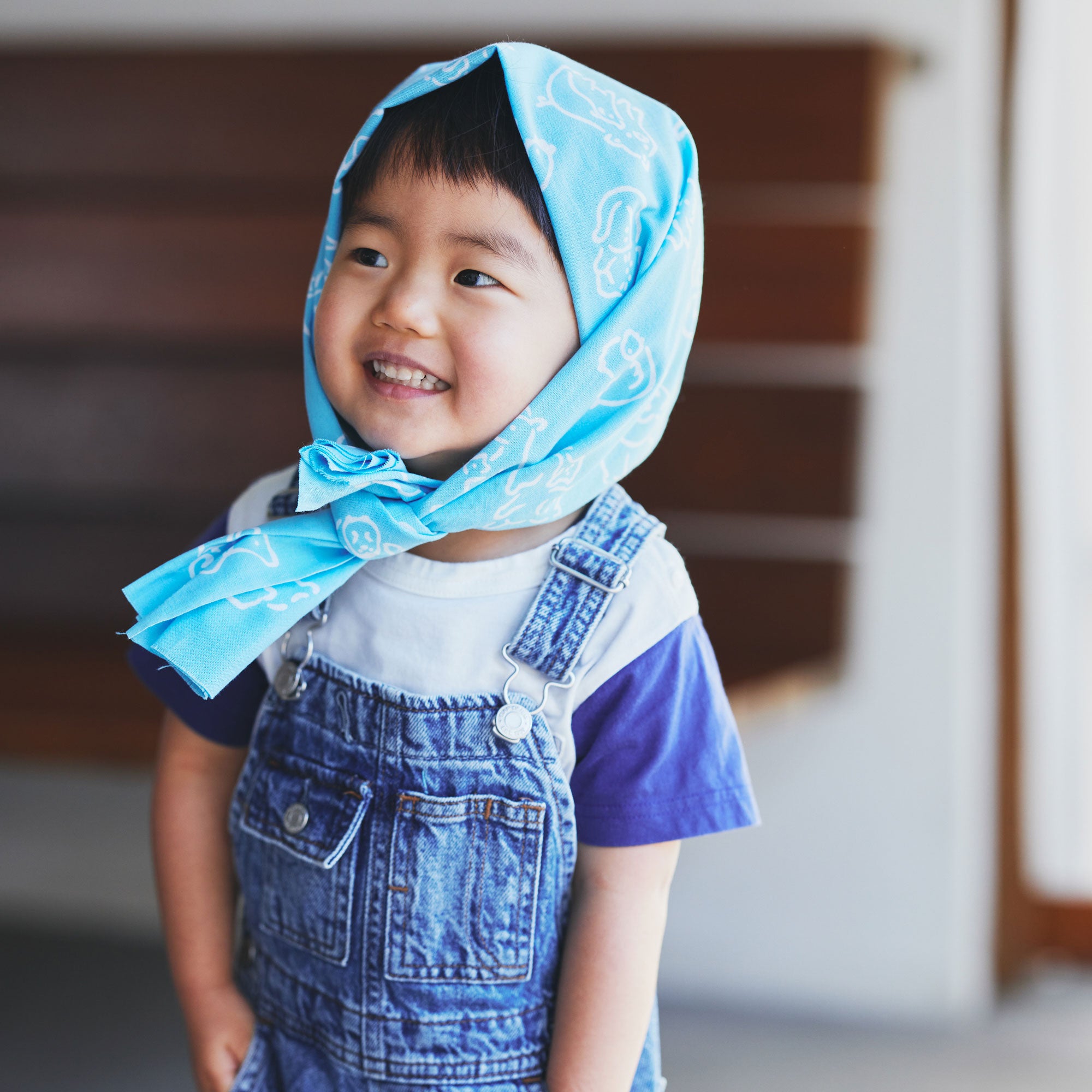 選べるギフト てぬぐい2枚セット